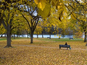 Kiwanis Memorial Park in Saskatoon is covered in fall colours.