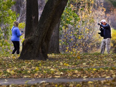 Pictures are being taken in Kiwanis Memorial Park of the fall colours, with cooler weather in the forecast, October 3, 2016