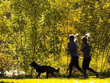 Leaves are turning in Saskatoon along the riverbank downtown, announcing the arrival of fall, September 12, 2016.