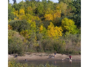 Splashing around in the river in Saskatoon will soon become a thing of the past for 2016 with the fall coloured leaves announcing cooler weather to come, September 6, 2016.