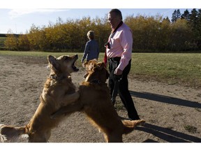 Mayor Don Atchison walks his two dogs at the Broadway dog park in Saskatoon, Saskatchewan on Friday, September 30th, 2016. (Kayle Neis/Saskatoon StarPhoenix)
