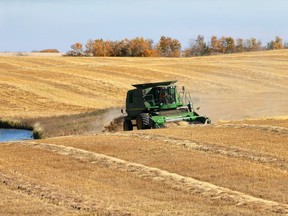 Cam Goff harvests one of his wheat crops on October 2, 2016.