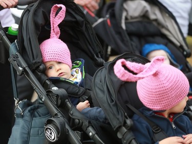 Participants walk and run at Canadian Breast Cancer Foundation's CIBC Run for the Cure at Prairieland Park in Saskatoon on October 2, 2016.