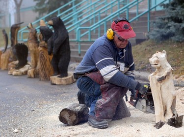 Chainsaw artist Dave Kemp sculpts an animal out of a tree stump during the Reflections of Nature Art Show and Sale at Prairieland Park in Saskatoon on October 23, 2016.