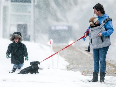 Roberta Vazquez and her two sons Dominick and Luca walk their new puppy River home in the snow after adopting him from New Hope Dog Rescue in Saskatoon on October 5, 2016.