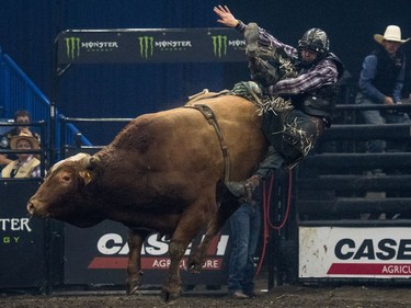 Brock Radford is bucked off a bull during the Professional bullriding Canadian final at SaskTel Centre in Saskatoon, October 15, 2016.
