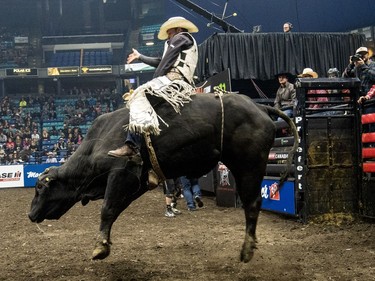 Cole Young rides a bull during the Professional bullriding Canadian final at SaskTel Centre in Saskatoon, October 15, 2016.