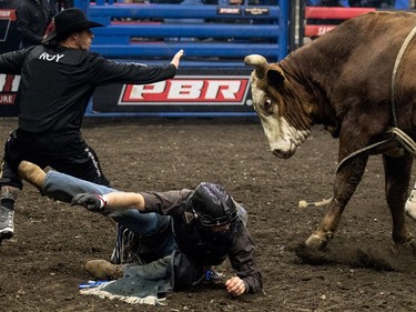 Fabian Dueck attempts to get away from the bull that just bucked him off during the Professional bullriding Canadian final at SaskTel Centre in Saskatoon, October 15, 2016.