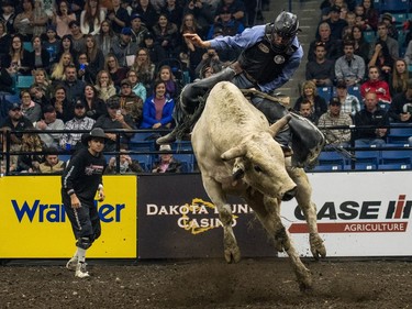 Jared Parsonage rides a bull during the Professional bullriding Canadian final at SaskTel Centre in Saskatoon, October 15, 2016.