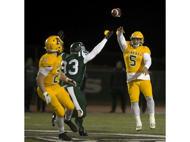 University of Alberta Golden Bears quarterback Ben Kopczynski looks for receiver Alex Bradley as U of S Huskies' Brayden Twarynski closes in during CIS football action at Griffiths Stadium in Saskatoon, October 28, 2016.