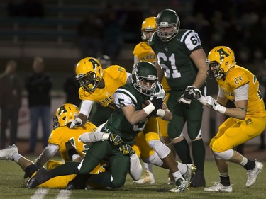 U of S Huskies' Tyler Chow draws a crowd running the ball against the University of Alberta Golden Bears during CIS football action at Griffiths Stadium in Saskatoon, October 28, 2016.