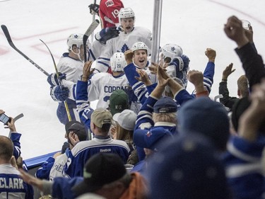 The Toronto Maple Leafs celebrate a goal against the Ottawa Senators during the third period of an NHL pre-season hockey game in Saskatoon, October 4, 2016.