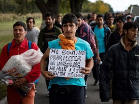 More than 300 migrants march from Belgrade toward Hungary on Oct. 3, aspiring to enter the European Union, two days after the referendum vote.