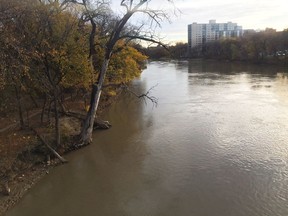 The Assiniboine River in Winnipeg on Oct. 14, 2016.