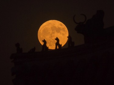 A supermoon rises behind small sculptures standing on the roof of a tower in the Forbidden City in Beijing on November 14, 2016. Skygazers headed to high-rise buildings, ancient forts and beaches on November 14 to witness the closest "supermoon" to Earth in almost seven decades, hoping for dramatic photos and spectacular surf. The moon will be the closest to Earth since 1948 at a distance of 356,509 kilometres, creating what NASA described as "an extra-supermoon."