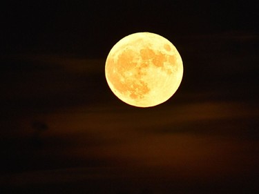 The supermoon rises on November 14, 2016 in Vertou, western France. The moon will be the closest to Earth since 1948 at a distance of 356,509 kilometres, creating what NASA described as "an extra-supermoon."