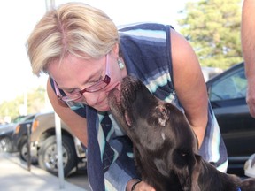 John and Cindy Billesberger, who can be seen getting a kiss from her dog, were all smiles as they prepared to bring home their chocolate lab Bruno from the University of Saskatchewan Western College of Veterinary Medicine on Thursday afternoon. Bruno, 7, was trapped in an abandoned well for 27-days before he was found by his owners. He spent more than 22 days at the WCVM while he recovered, Nov. 10, 2016. (Morgan Modjeski/The Saskatoon StarPhoenix)