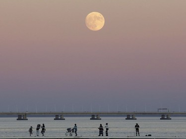 People stroll along the Tagus riverside in Lisbon as the moon rises, November 13 2016. The aupermoon on November 14, 2016 will be the closest a full moon will have been to Earth since 1948.