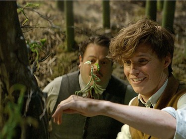 Dan Fogler (L) and Eddie Redmayne star in "Fantastic Beasts and Where to Find Them."