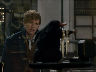 Eddie Redmayne stars in "Fantastic Beasts and Where to Find Them."