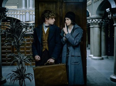 Eddie Redmayne and Katherine Waterston star in "Fantastic Beasts and Where to Find Them."