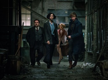 L-R: Dan Fogler, Katherine Waterston, Alison Sudol and Eddie Redmayne star in "Fantastic Beasts and Where to Find Them."