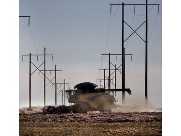 Warm November sunshine has finally let harvest continue in Saskatchewan and east of Saskatoon, November 7, 2016.