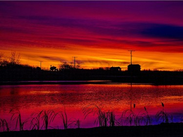 Here is the magnificent sunrise from a country setting this morning, November 8, 2016.