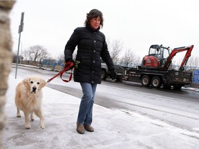 Linda McMullen walks her golden retriever Sadie along Sask. Crescent every day. While a section was blocked off, due to the riverbank slumping, she had to walk through back alleys so she is glad to have it open in Saskatoon on November 22, 2016.