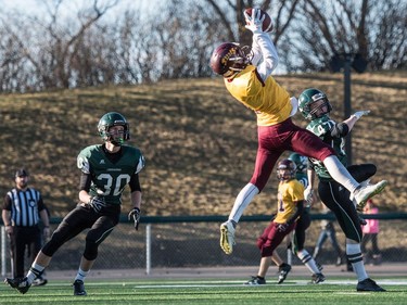 LeBoldus Golden Suns receiver Dom Dheilly grabs a pass for a touchdown against the Holy Cross Crusaders during the high school football 4A provincial final at SMS field in Saskatoon, November 12, 2016.