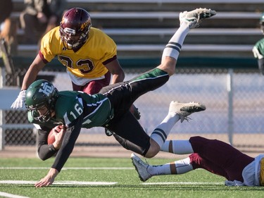 Holy Cross Crusaders quarterback Jonah Humphrey is knocked down as he runs the ball against the LeBoldus Golden Suns during the high school football 4A provincial final at SMS field in Saskatoon, November 12, 2016.