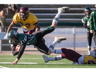 Holy Cross Crusaders quarterback Jonah Humphrey is knocked down as he runs the ball against the LeBoldus Golden Suns during the High school football 4A provincial final at SMS field in Saskatoon, SK. on Saturday, November 12, 2016. (LIAM RICHARDS/THE STAR PHOENIX)