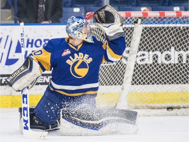 Saskatoon Blades goalie Brock Hamm is not able to stop a shot against the Medicine Hat Tigers in second period WHL action in Saskatoon, November 26, 2016.
