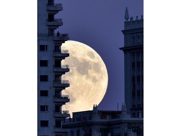 A man stands on a balcony of a building in Madrid as the moon rises in the background, November 13, 2016, on the eve of a "supermoon." On November 14, 2016, the moon will orbit closer to the earth than at any time since 1948, named a 'supermoon,' it is defined by a Full or New moon coinciding with the moon's closest approach to the Earth.