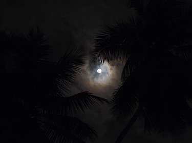 A supermoon rises over the Kelaniya suburb in Colombo on November 14, 2016. Skygazers headed to high-rise buildings, ancient forts and beaches on November 14 to witness the closest "supermoon" to Earth in almost seven decades, hoping for dramatic photos and spectacular surf. The moon will be the closest to Earth since 1948 at a distance of 356,509 kilometres, creating what NASA described as "an extra-supermoon."