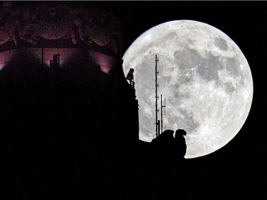 The moon rises behind the eagle sculpture high atop LeVeque Tower in Columbus, Ohio, November 13, 2016. On Monday, Earthlings will be treated to a so-called supermoon — the closest full moon of the year. Monday's supermoon will be extra super — it will be the closest the moon comes to us in almost 69 years. And it won't happen again for another 18 years.