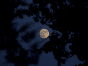 The moon rises over Hefer Valley in Israel, November 13, 2016. The upcoming supermoon, on November 14, will be especially "super" because it's the closest full moon to Earth since 1948.