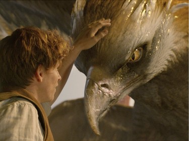 Eddie Redmayne stars in "Fantastic Beasts and Where to Find Them."