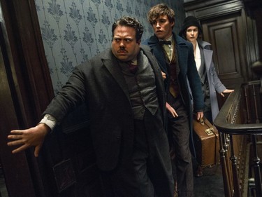 L-R: Dan Fogler, Eddie Redmayne and Katherine Waterston star in "Fantastic Beasts and Where to Find Them."