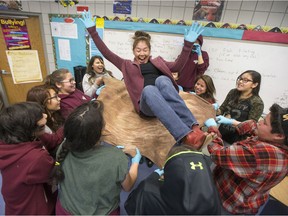 Grade 7 and 8 students in the Miyo Pimatsowin program toss their teacher's associate Susy Lister in the air while they stretch hides in their classroom in February.