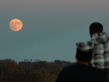 Allen Ali and his son, Alexander, watch from Blue Heron Hill as the supermoon rises over East Riverside and Tecumseh in Wondsor, Ontario, November 13, 2016.