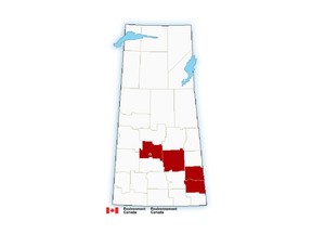 Environment Canada released a snowfall warning for Saskatoon and some other areas of the province on Friday, Dec. 30.