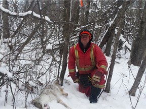 Saskatchewan-based trapper Ryan Demchynski has been affected by the very low prices in the fur market. He's been trapping full time for four years, but it facing a return to his old trade, trucking.