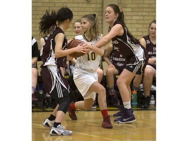 Mount Royal Mustangs' Madison Kirton (C) looks to get rid of the ball while being guarded by Marion Graham Falcons' Elaine Hsu and Quinn Courtney in high school action at Mount Royal Collegiate, December 5, 2016.