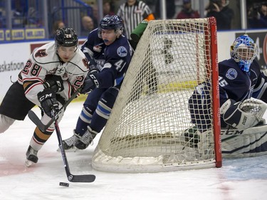 Calgary Hitmen's Tyler Mrkonjic circles the net of Saskatoon Blades goalie Logan Flodell as Logan Christensen chases him during WHL action at SaskTel Centre in Saskatoon, December 7, 2016.