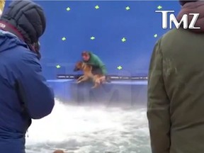 A dog appears to be forced into turbulent water during the filming of "A Dog's Purpose" near Winnipeg in this 2015 handout photo taken from video footage provided to TMZ. A Toronto-based animal law organization has filed animal cruelty complaints over the treatment of a German shepherd on the set of the film "A Dog's Purpose." Animal Justice says footage apparently shot near Winnipeg in November 2015 shows the filmmakers forcing the dog into turbulent water.