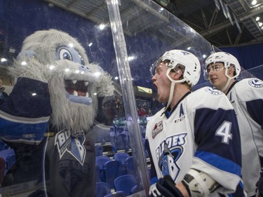 Saskatoon Blades defense Bryton Sayers celebrates with mascot Poke Check as he leaves the ice after he and his team defeated the Medicine Hat Tigers 5-3 in WHL action in Saskatoon, January 18, 2017.