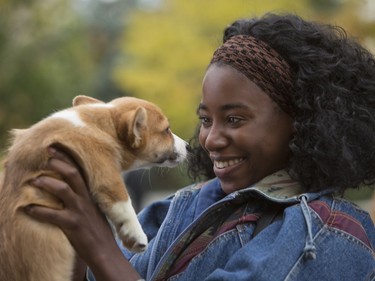 Kirby Howell-Baptiste stars in "A Dog's Purpose."