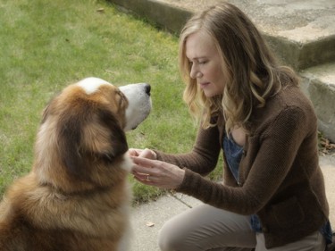 Peggy Lipton stars in "A Dog's Purpose."