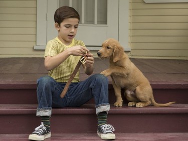 Bryce Gheisar stars in "A Dog's Purpose."